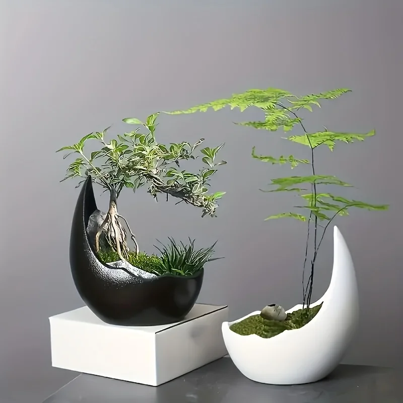 Bonsai Tree Zen Garden - Crescent Ceramic Flower Pot Zen Bonsai