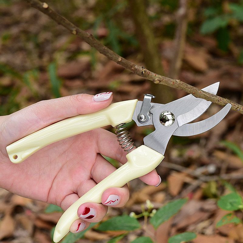 Bonsai Garden Tree - Labor‑Saving Garden Pruning Shears, Professional Hand