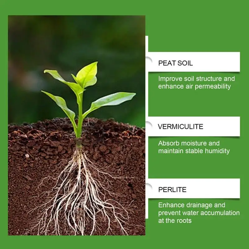 Succulent Soil Potting Mix Aer - огляд і ціна Bonsai Garden Usa