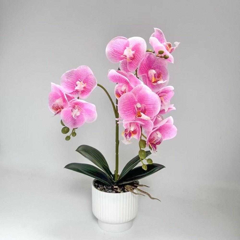 Multi-Bloom Simulated Butterfl - огляд і ціна Bonsai Garden Zen