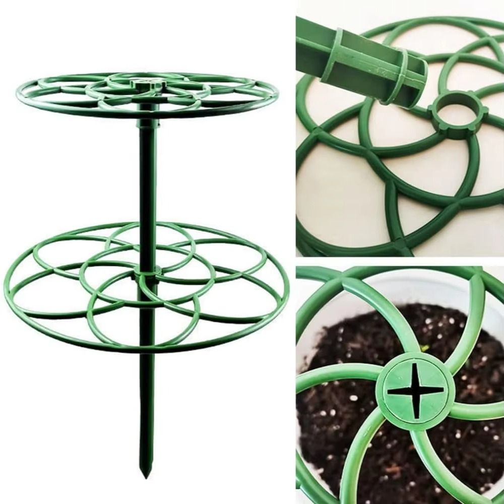 New S/M/L Bonsai Climbing Fram - огляд і ціна Bonsai Garden Stand