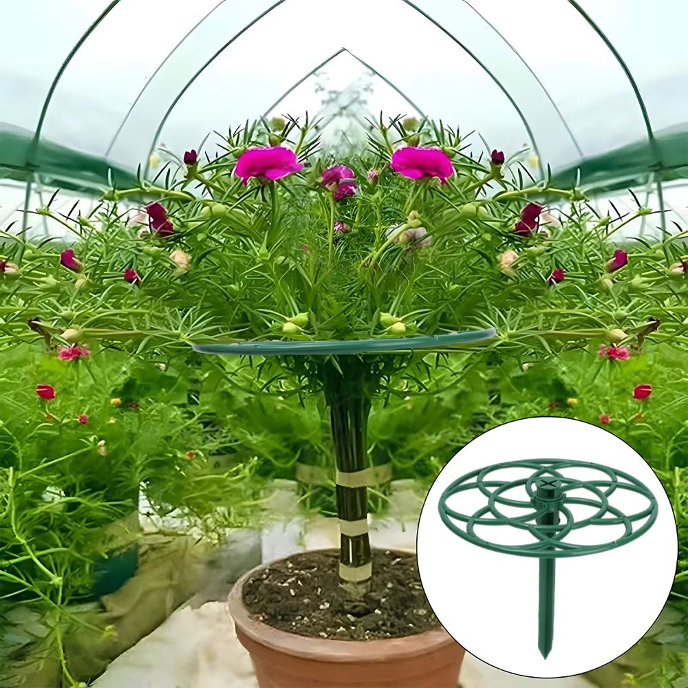 New S/M/L Bonsai Climbing Fram - огляд і ціна Bonsai Garden Stand