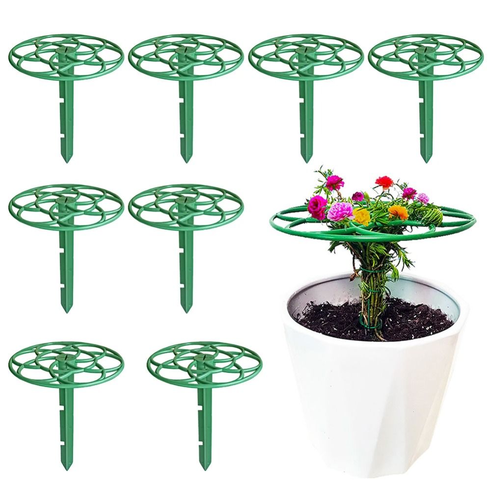 S/M/L Bonsai Climbing Frame Pl - огляд і ціна Bonsai Garden Stand