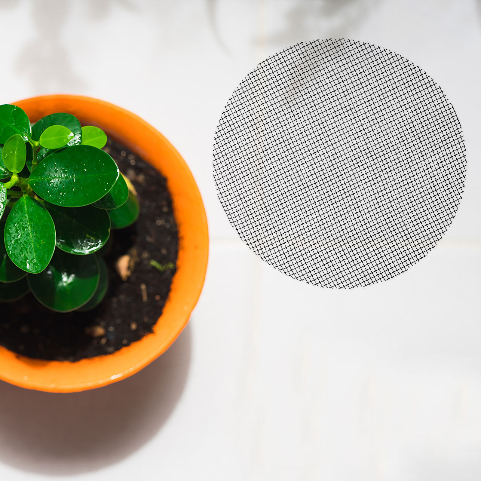 50Pcs Flower Pot Hole Mesh Pad - огляд і ціна Bonsai Garden Usa