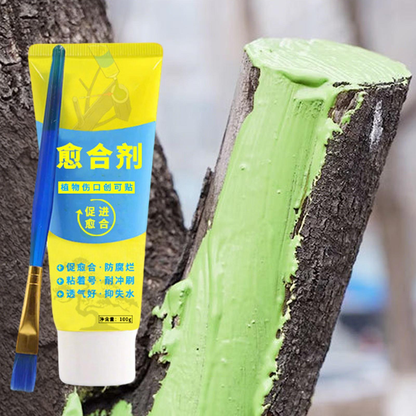 Plant Pruning Sealer Agent Pla - огляд і ціна Bonsai Garden Usa