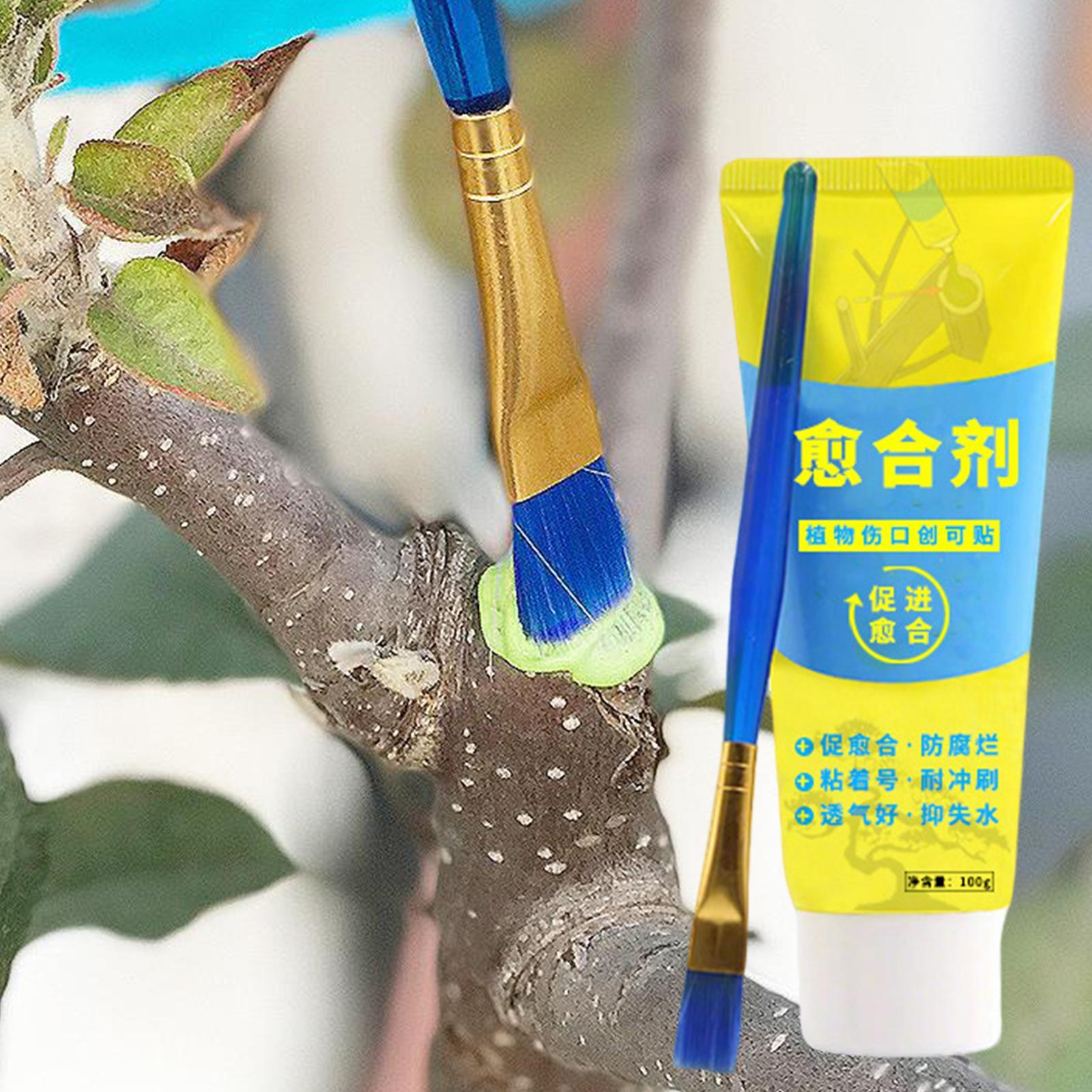 Plant Pruning Sealer Agent Pla - огляд і ціна Bonsai Garden Usa