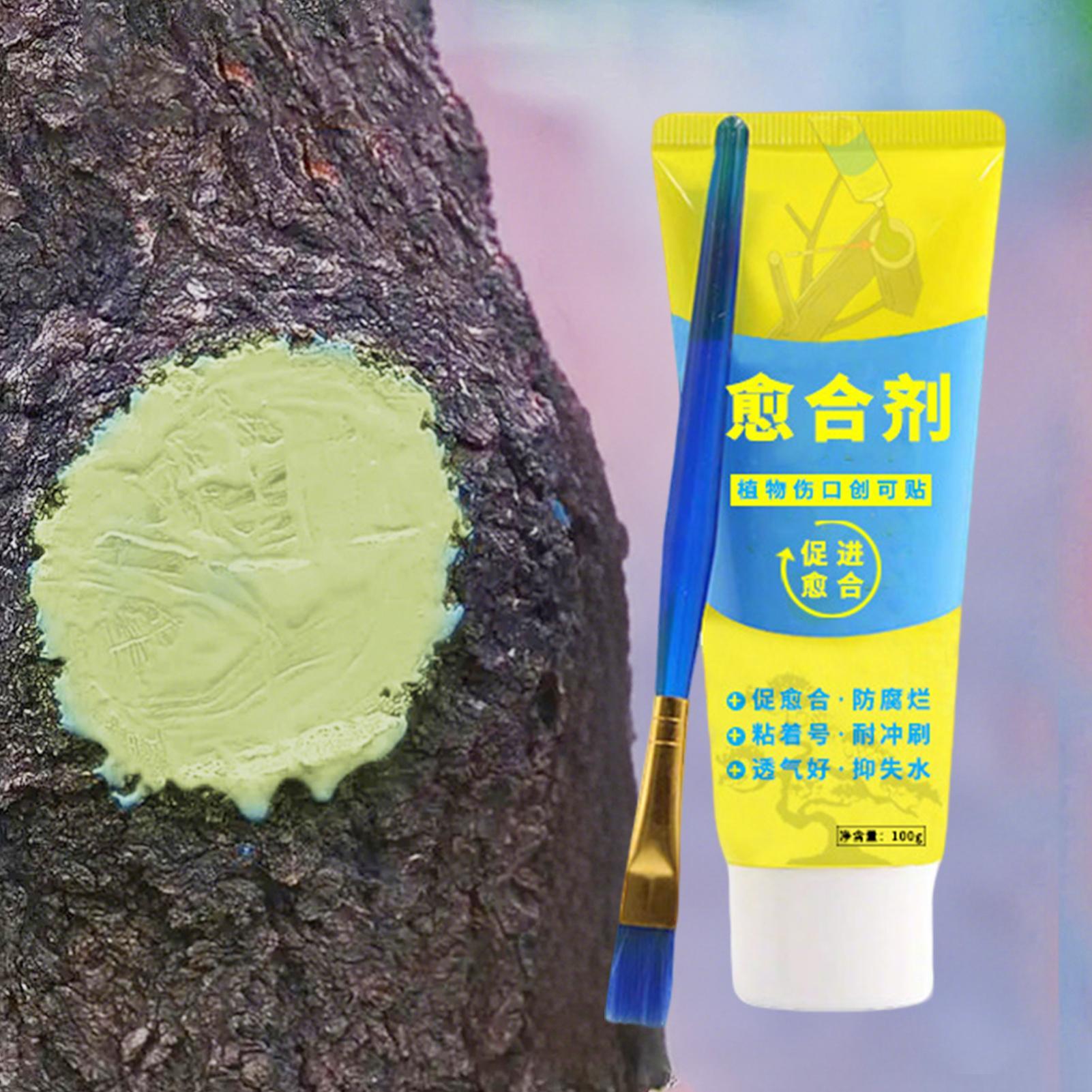 Plant Pruning Sealer Agent Pla - огляд і ціна Bonsai Garden Usa
