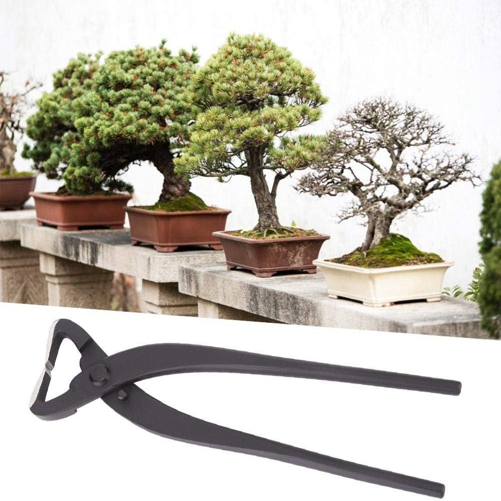 Ply Steel Bonsai Trunk Splitte - огляд і ціна Bonsai Garden Knife