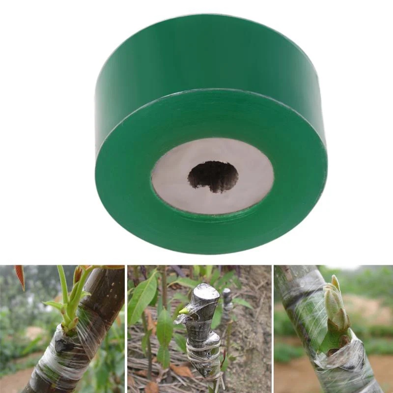 PE Self-adhesive Grafting Tape - огляд і ціна Bonsai Garden Tree