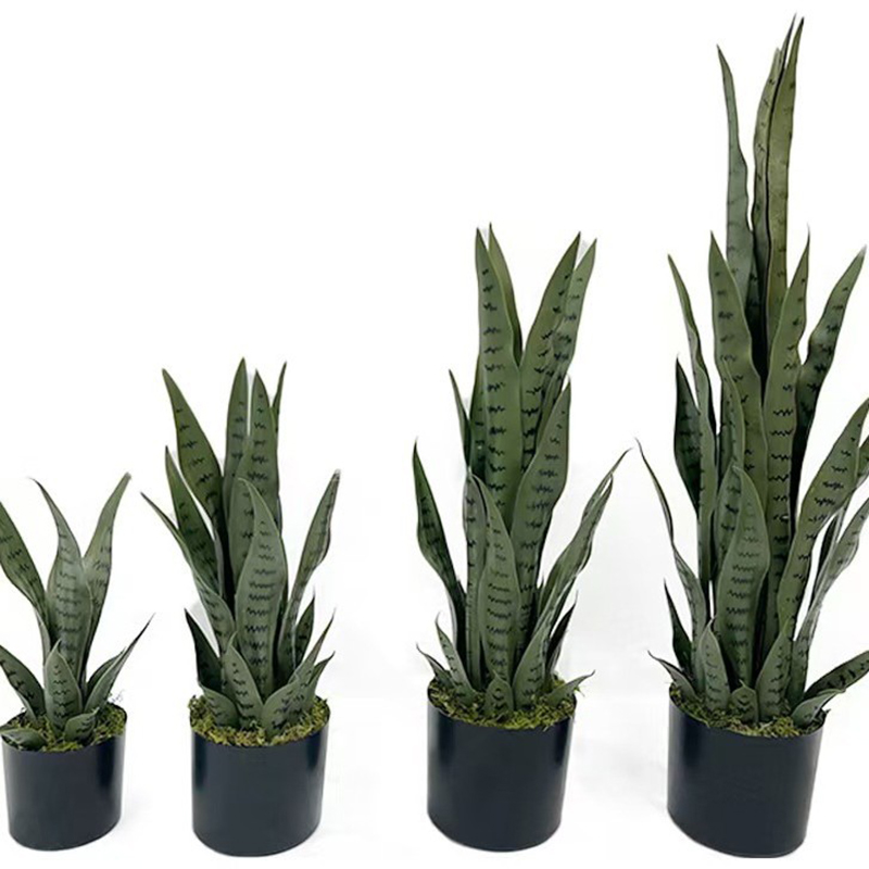 40-100cm Artificial Sansevieri - огляд і ціна Bonsai Garden Zen