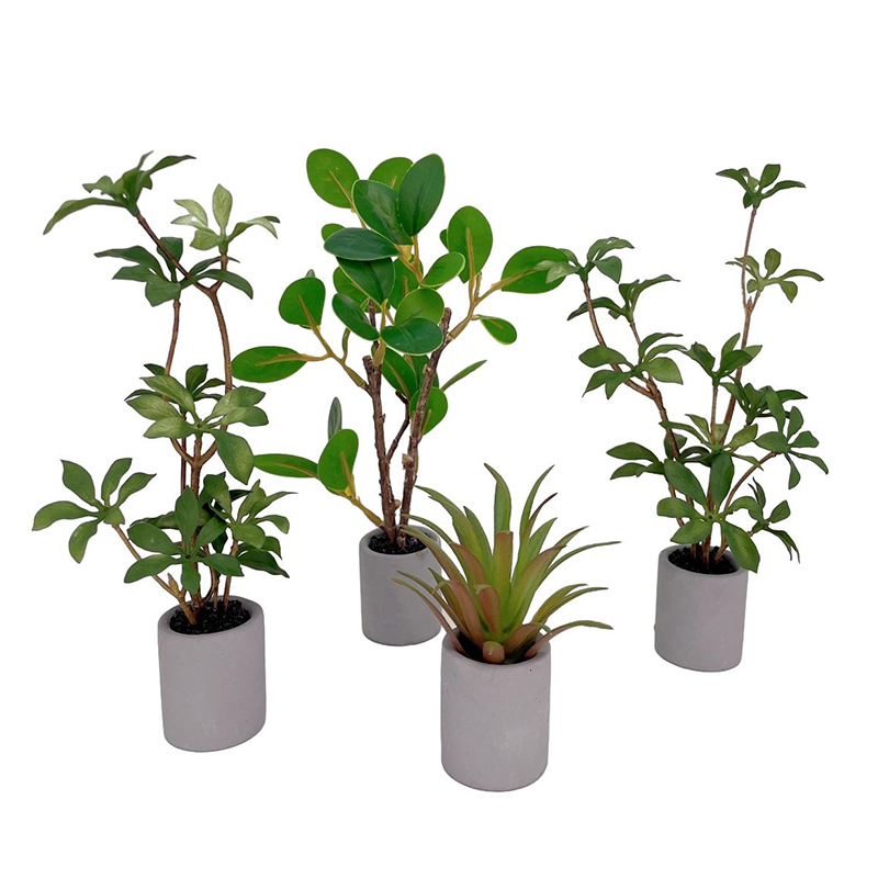 1:6 Dollhouse Miniature Potted - огляд і ціна Bonsai Garden Zen
