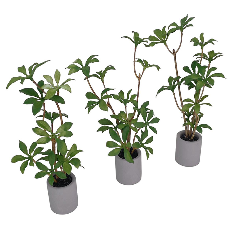 1:6 Dollhouse Miniature Potted - огляд і ціна Bonsai Garden Zen