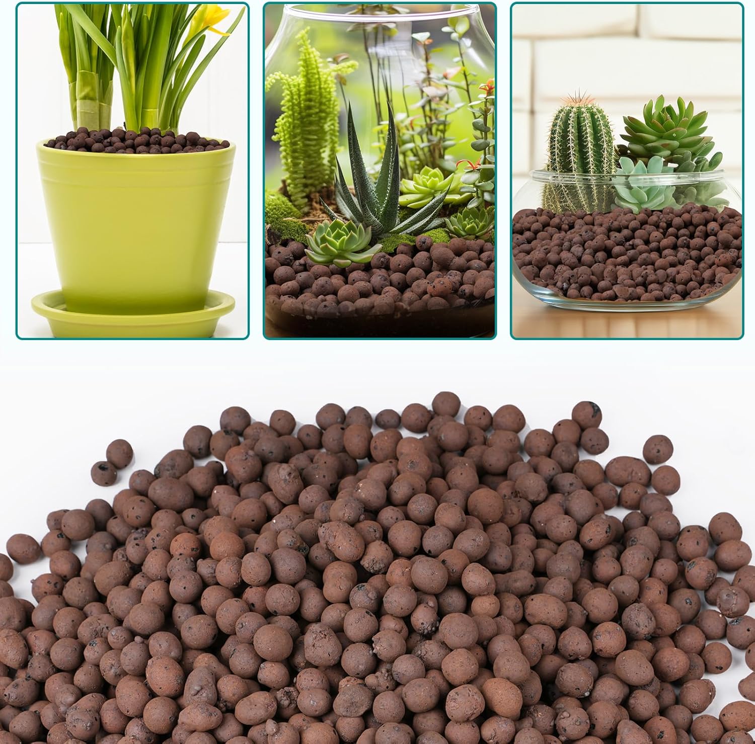 100/200G Clay Pebbles for Plan - огляд і ціна Sphagnum Moss Bag