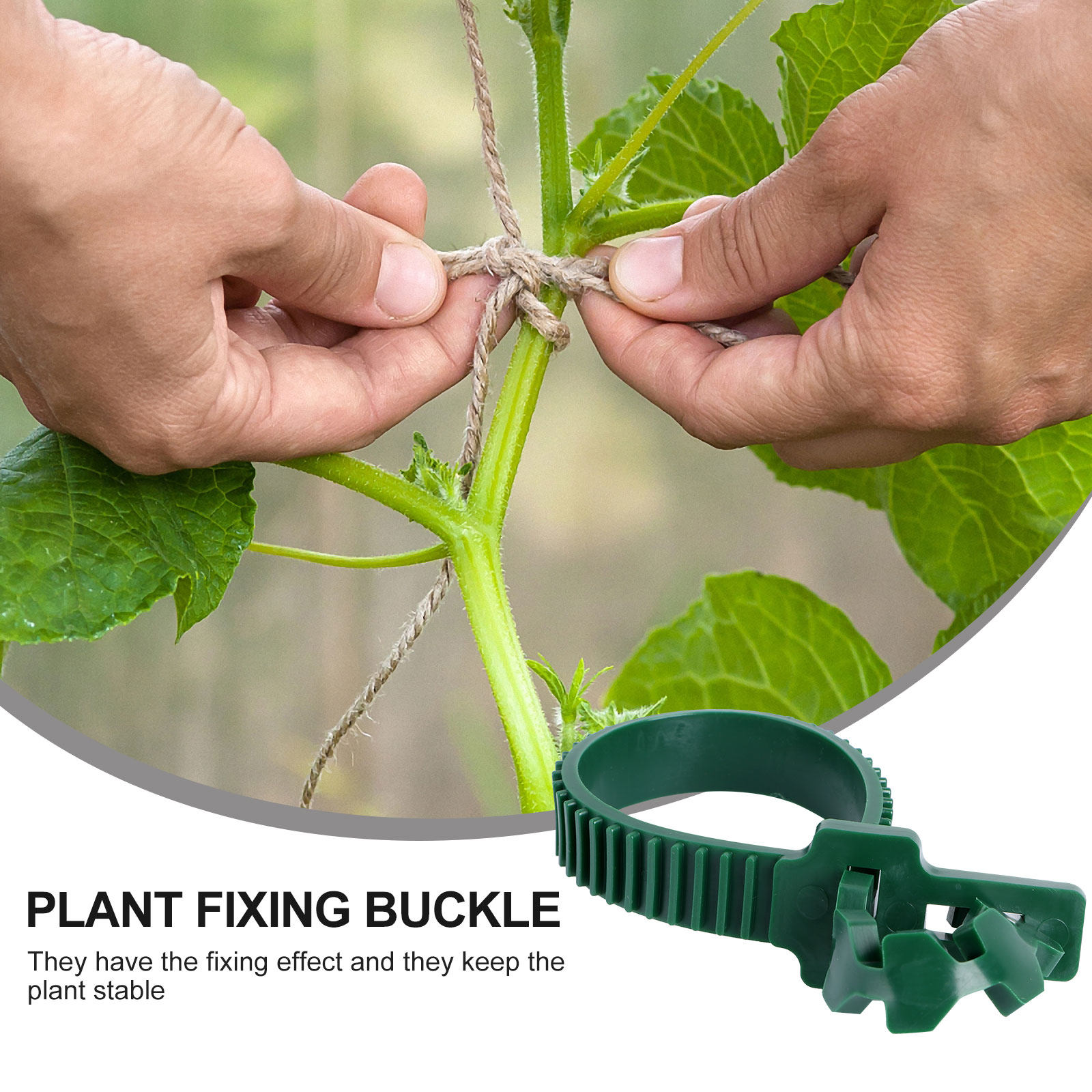 20Pcs Vine Fixing Buckle Garde - огляд і ціна Bonsai Garden Tree