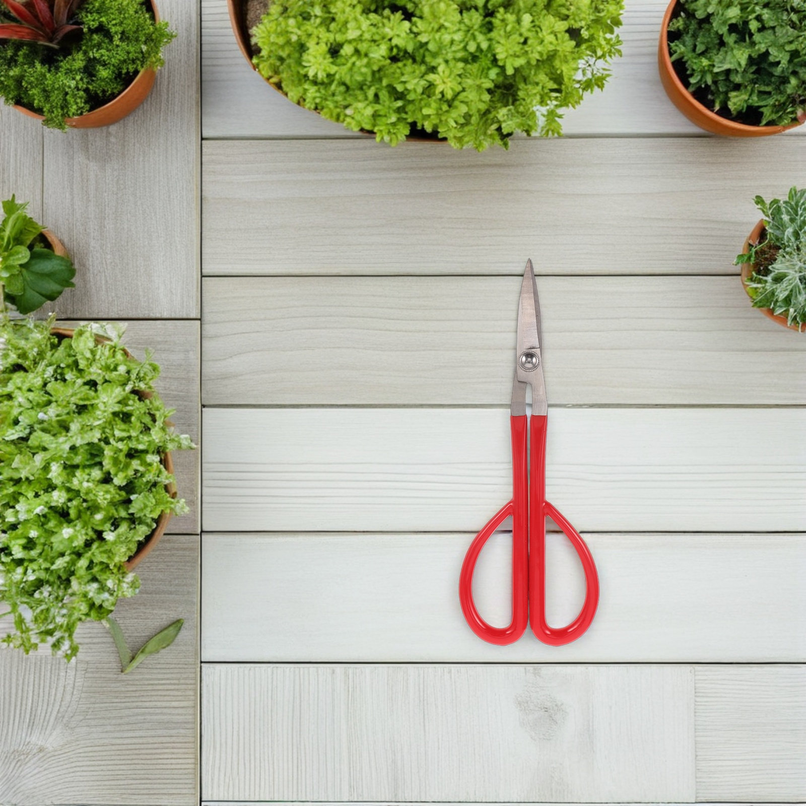 Stainless Steel Bonsai Pruner  - огляд і ціна Bonsai Garden Knife