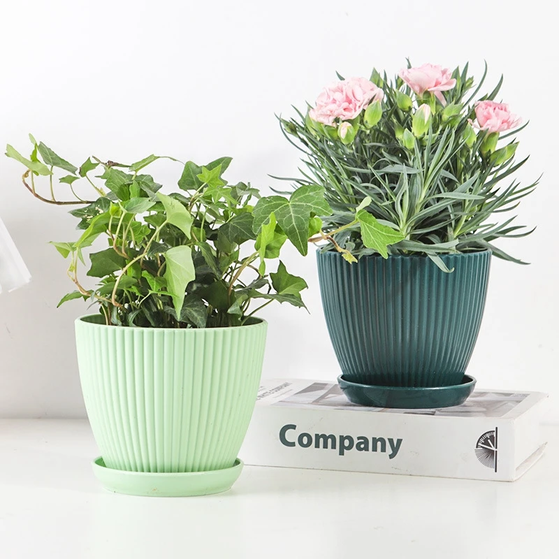 Succulent Potted Round Pot wit - огляд і ціна Japanese Garden Bonsai