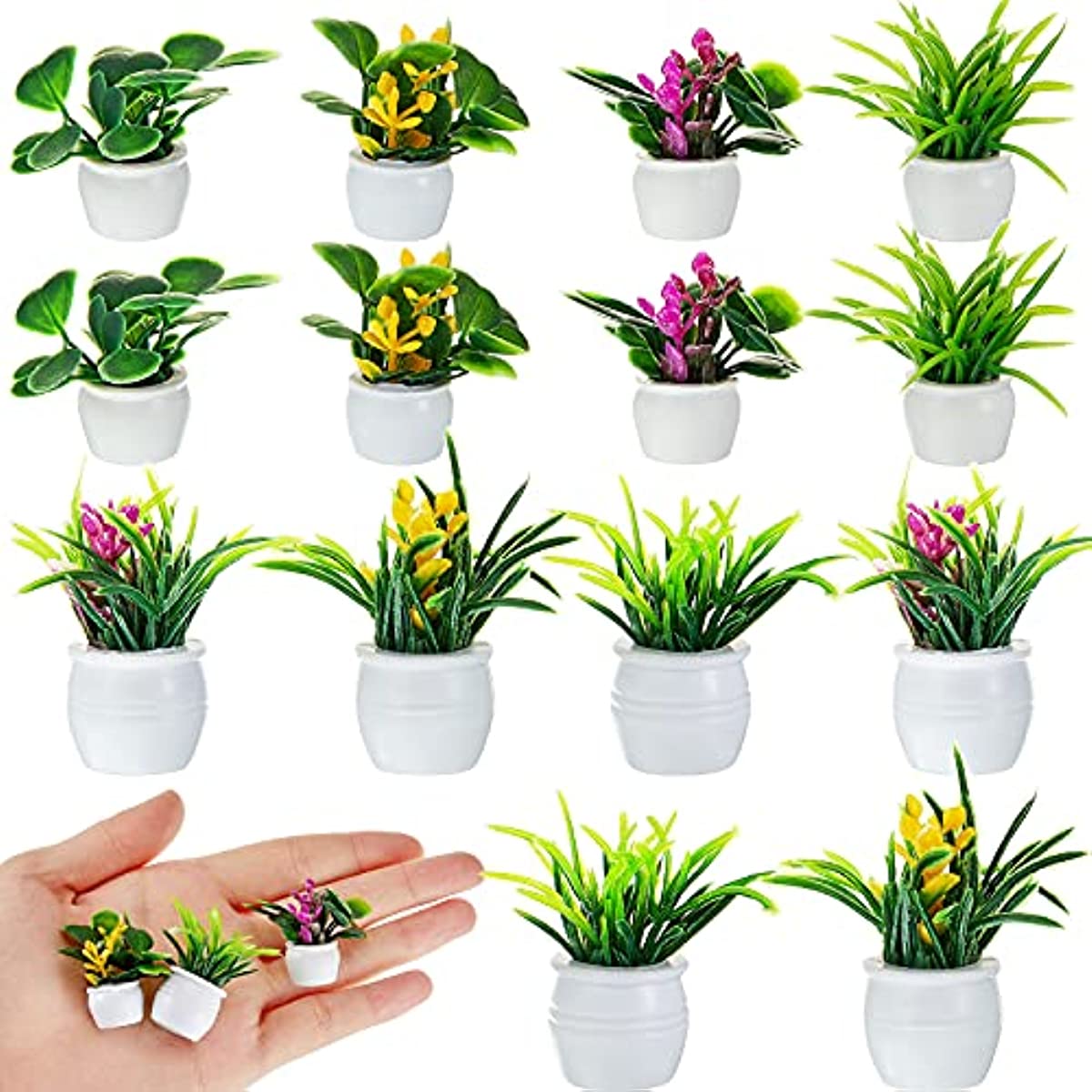 Dollhouse Plant, Miniature Bon - огляд і ціна Bonsai Garden Zen