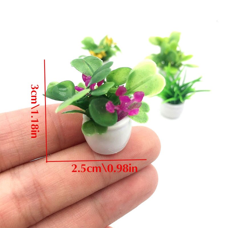 Dollhouse Plant, Miniature Bon - огляд і ціна Bonsai Garden Zen