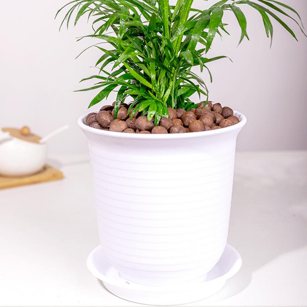 Lightweight Hydroponic Clay Pe - огляд і ціна Sphagnum Moss Bag