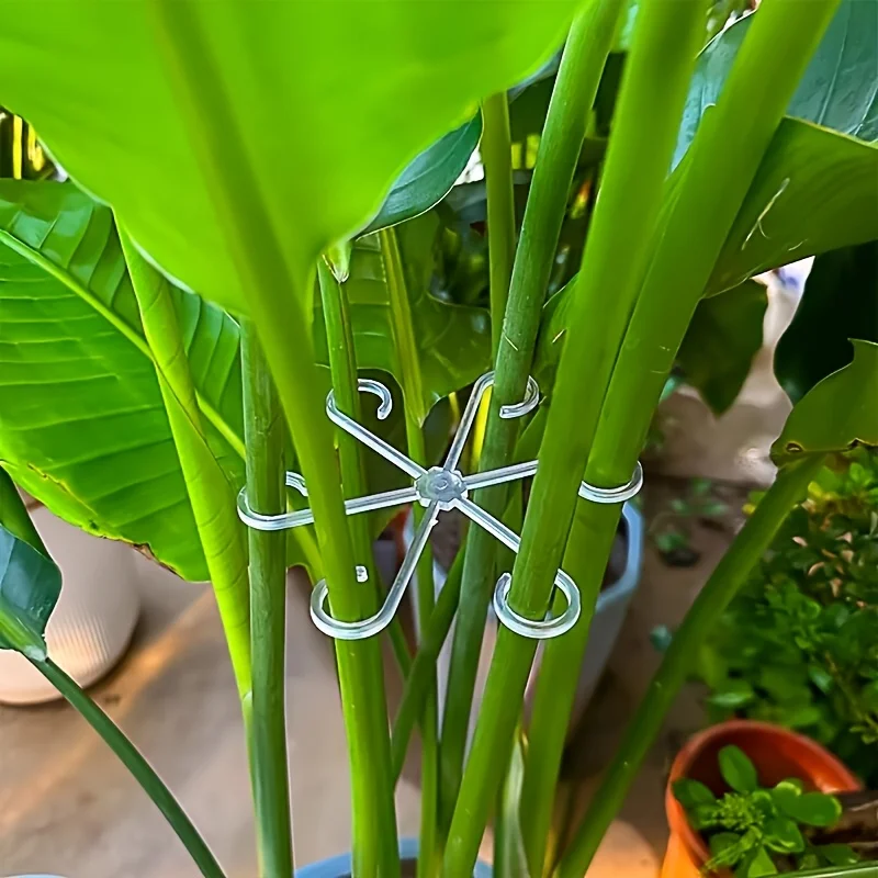 4‑Piece Plant Stem Support Cli - огляд і ціна Bonsai Garden Tree