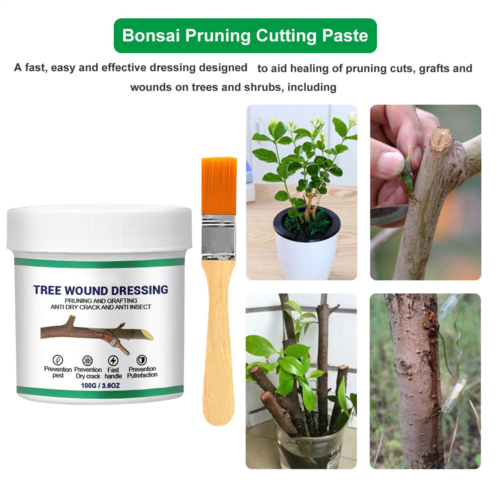 100g Tree Wound Pruning Sealer - огляд і ціна Bonsai Garden Usa