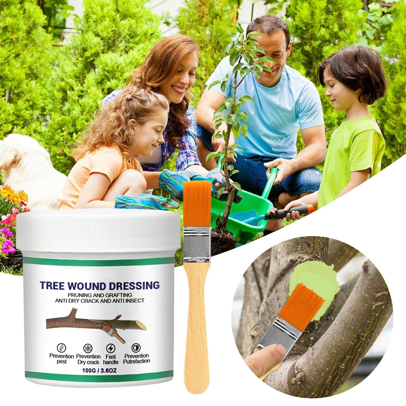 100g Tree Wound Pruning Sealer - огляд і ціна Bonsai Garden Usa
