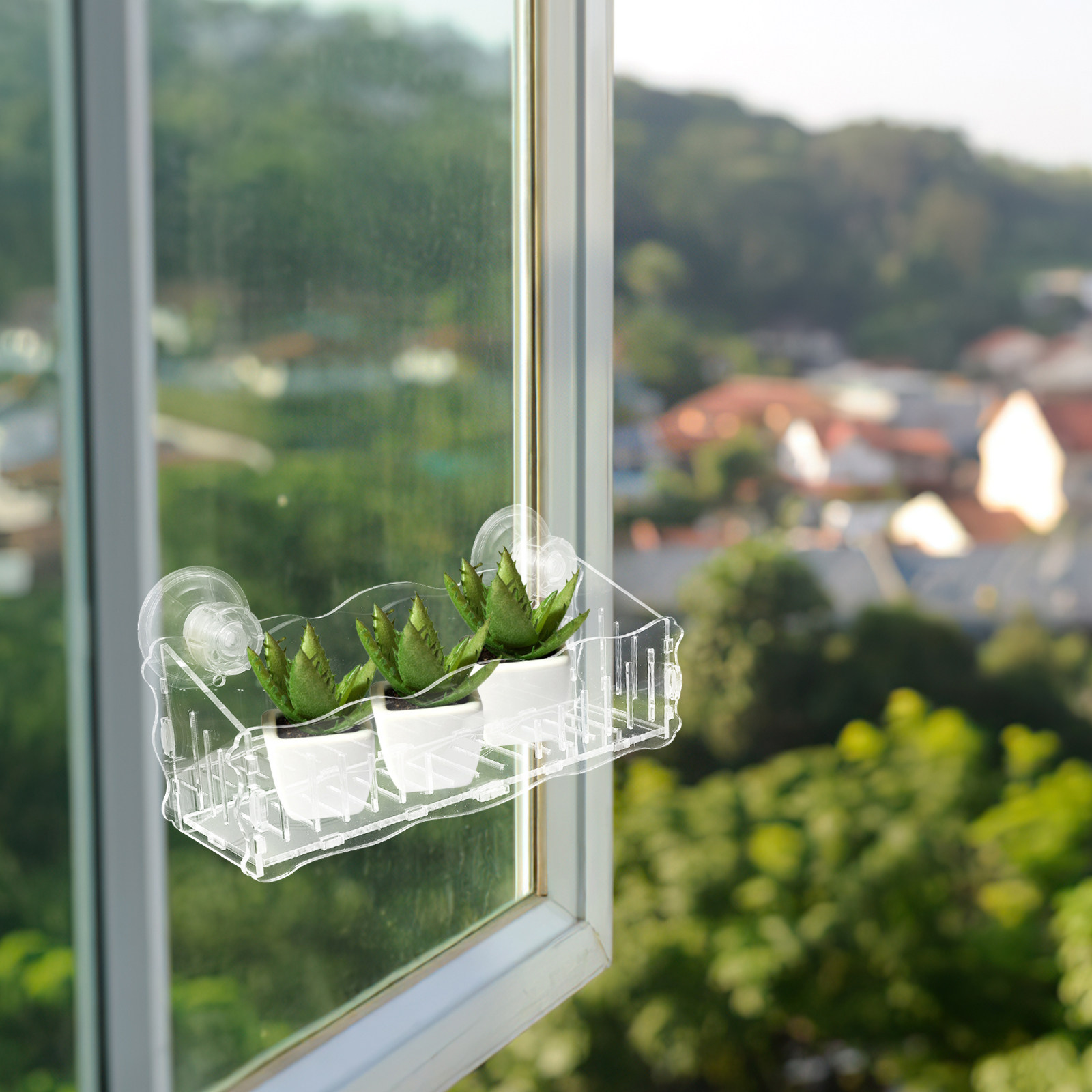 Suction Cup Planter Acrylic Tr - огляд і ціна Bonsai Garden Usa