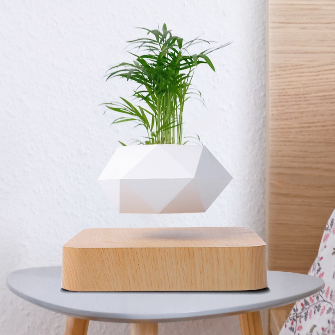 Levitating Air Bonsai Pot, Rot - огляд і ціна Bonsai Garden For Desk
