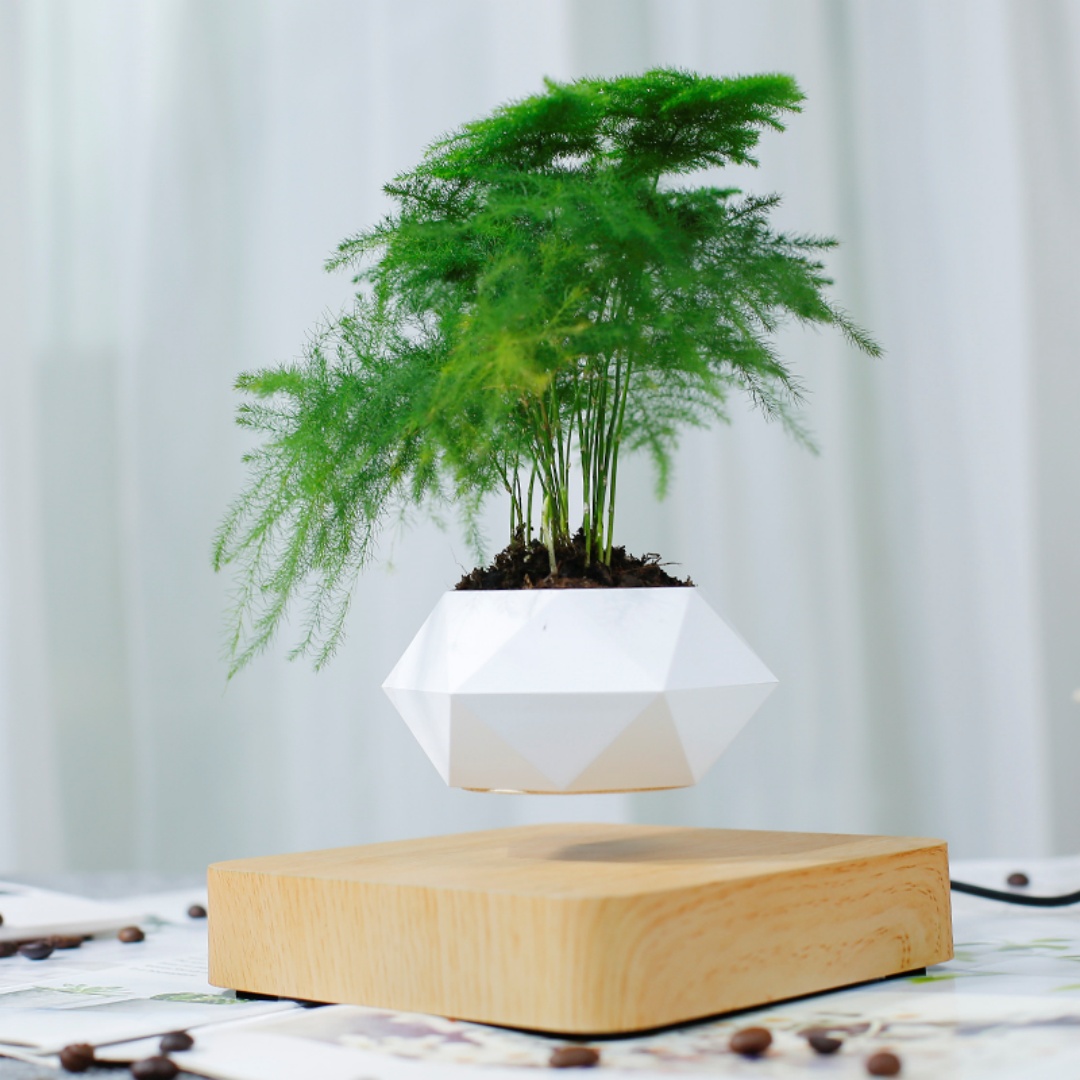 Levitating Air Bonsai Pot, Rot - огляд і ціна Bonsai Garden For Desk