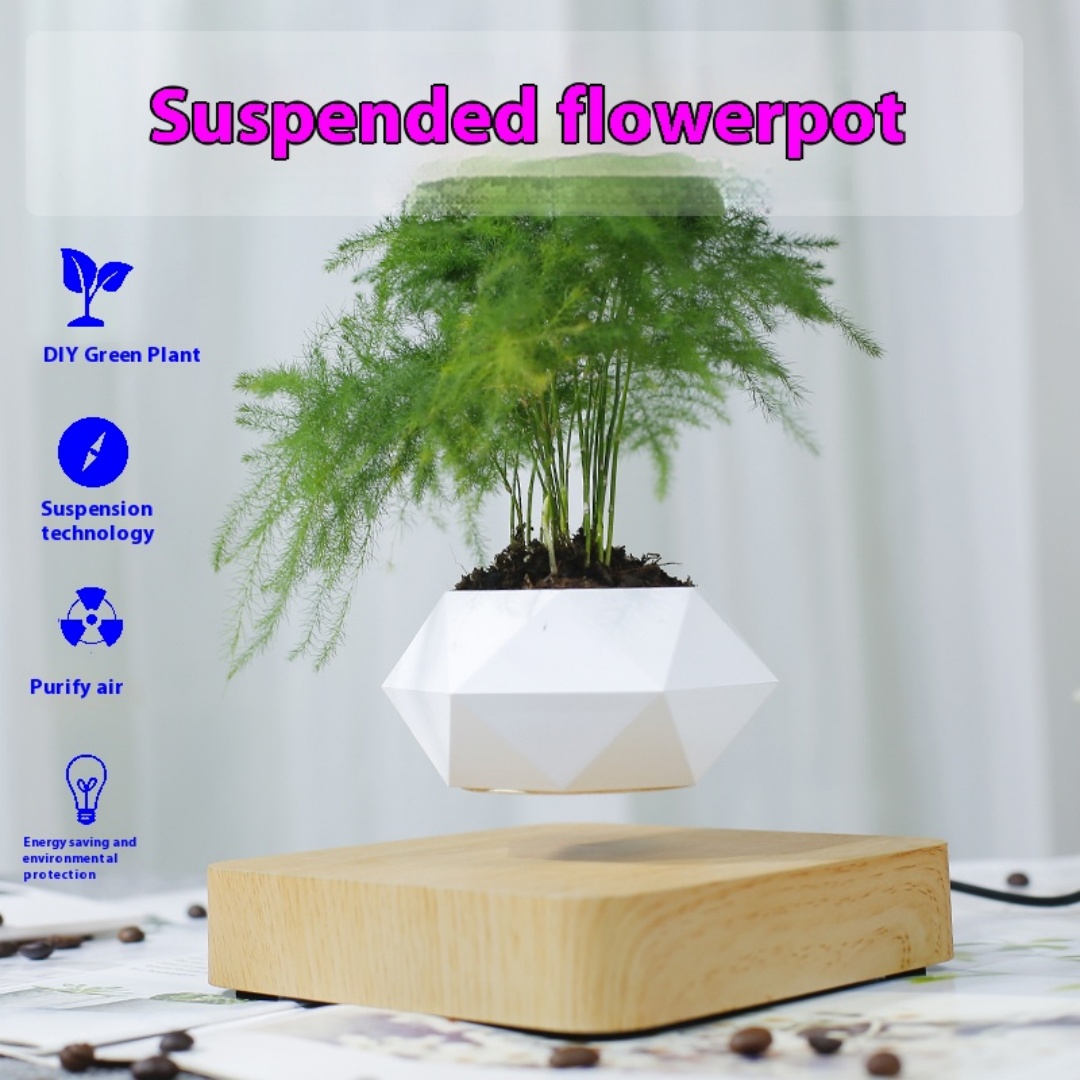 Levitating Air Bonsai Pot, Rot - огляд і ціна Bonsai Garden For Desk