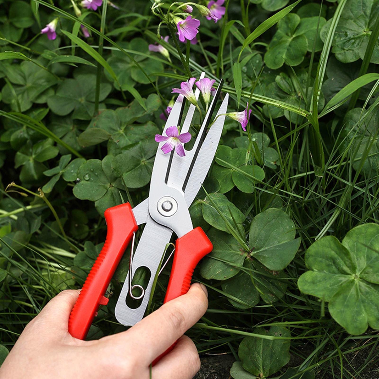 Garden Shears Stainless Steel  - огляд і ціна Bonsai Garden Usa