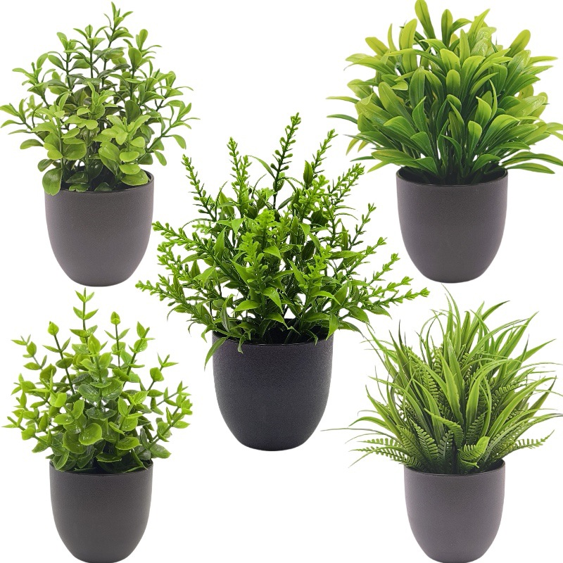 Simulation Green Plant Bonsai  - огляд і ціна Bonsai Garden Zen