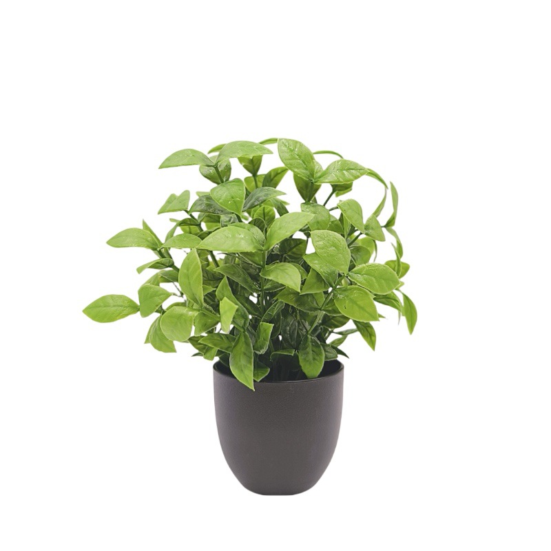 Simulation Green Plant Bonsai  - огляд і ціна Bonsai Garden Zen