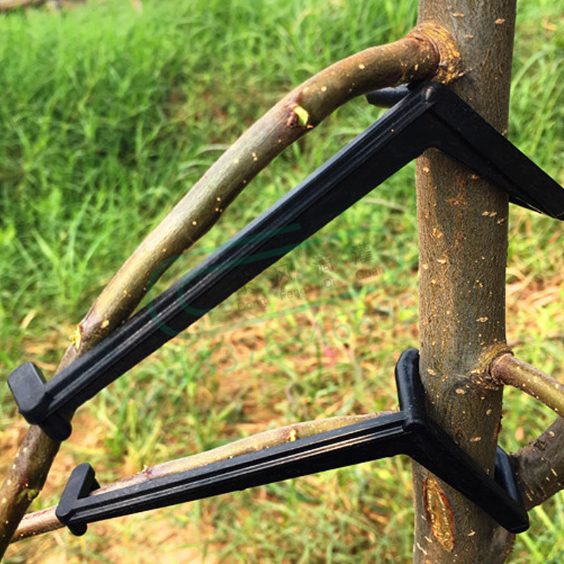10-30Pcs Fruit Tree Clips Plan - огляд і ціна Bonsai Garden Tools