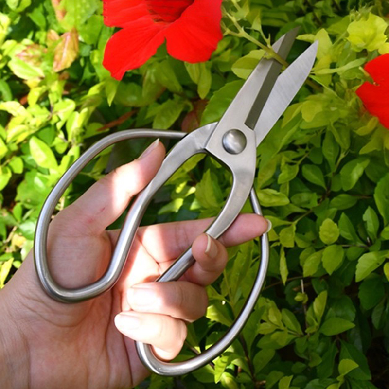 Stainless Steel Pruning Shears - огляд і ціна Bonsai Garden Knife