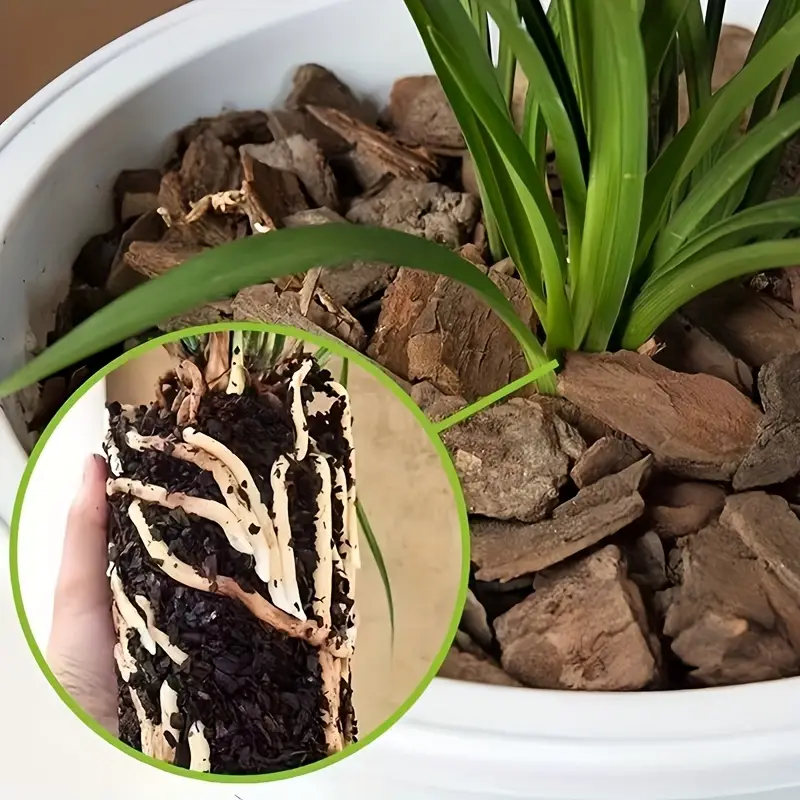 Orchid Potting Pine Bark, a Ge - огляд і ціна Sphagnum Moss Bag