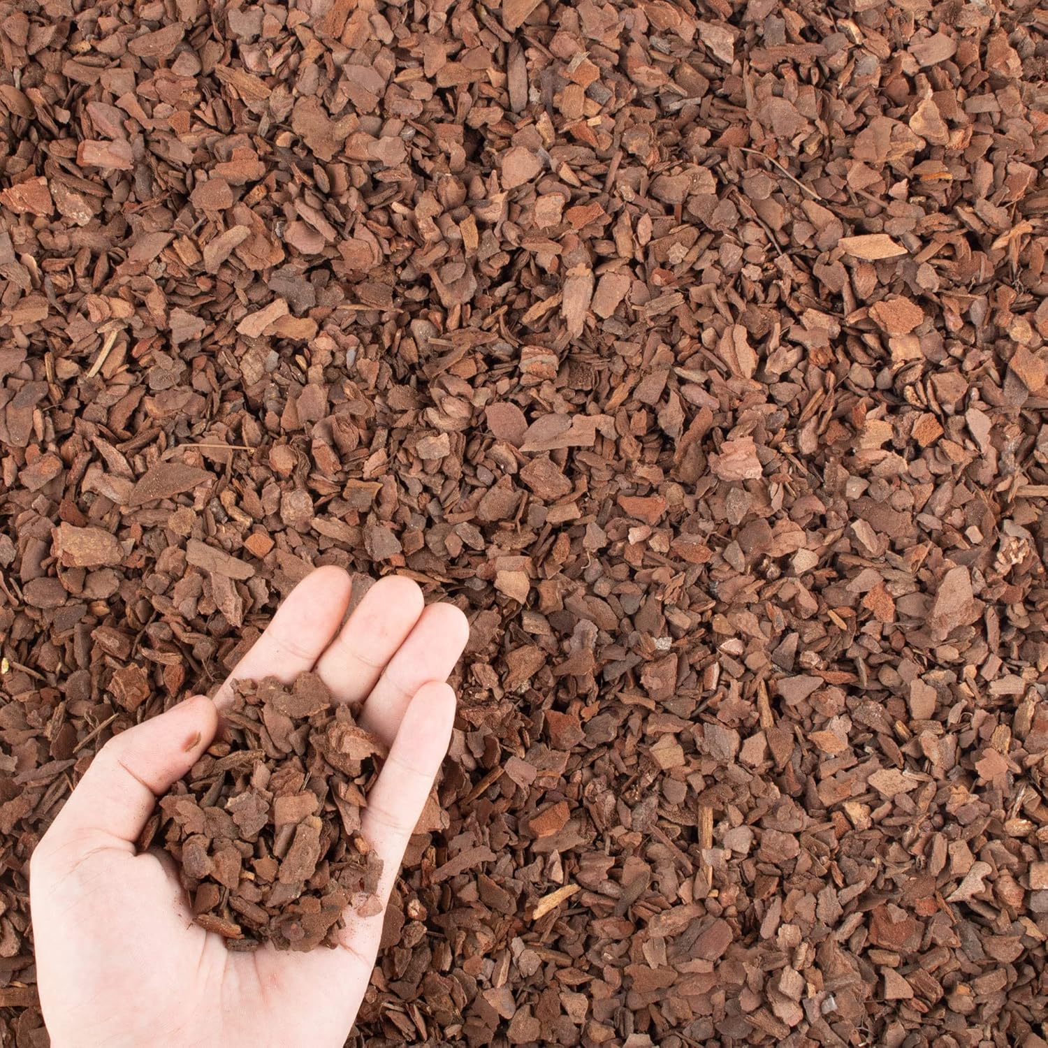 Orchid Potting Pine Bark, a Ge - огляд і ціна Sphagnum Moss Bag