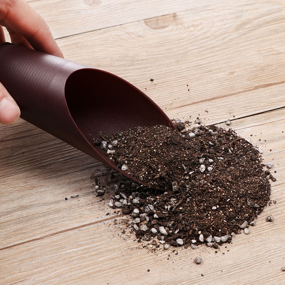 1PC Plastic Soil Shovel Cup Fo - огляд і ціна Bonsai Garden Zen